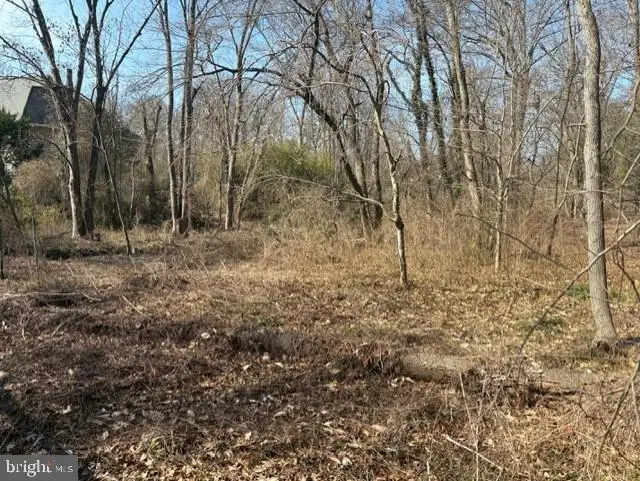 8123 Stacey Rd, Alexandria, VA 22308 - Image #3