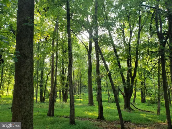 748 Kentland Dr, GREAT FALLS, VA 22066