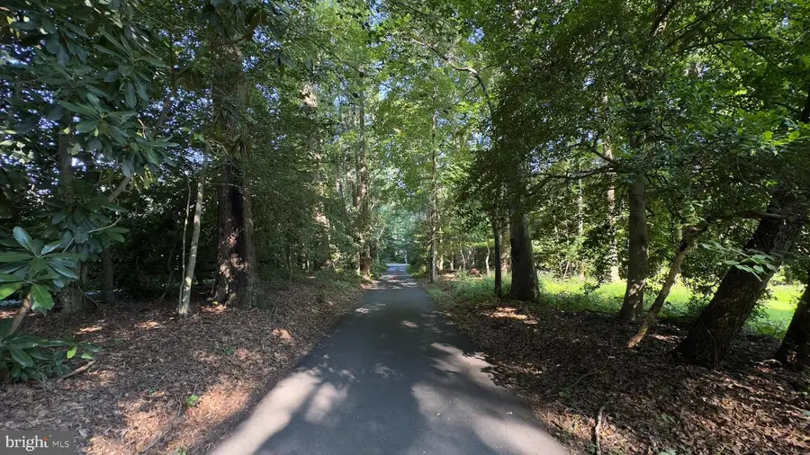 427 Springvale Rd, Great Falls, VA 22066 - Image #2