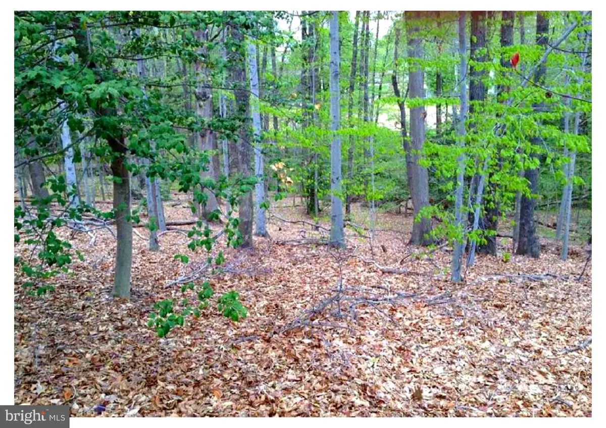 8310 Upper Spring Ln, Annandale, VA 22003 - Image #1