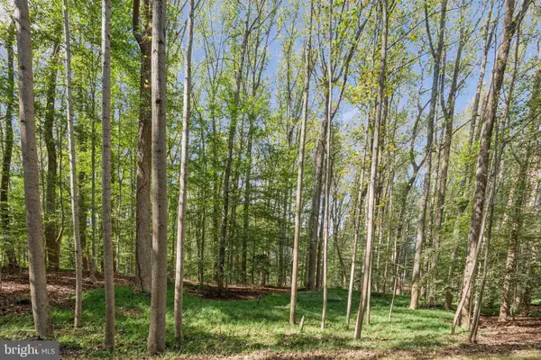 258 Jeffery Ln, GREAT FALLS, VA 22066