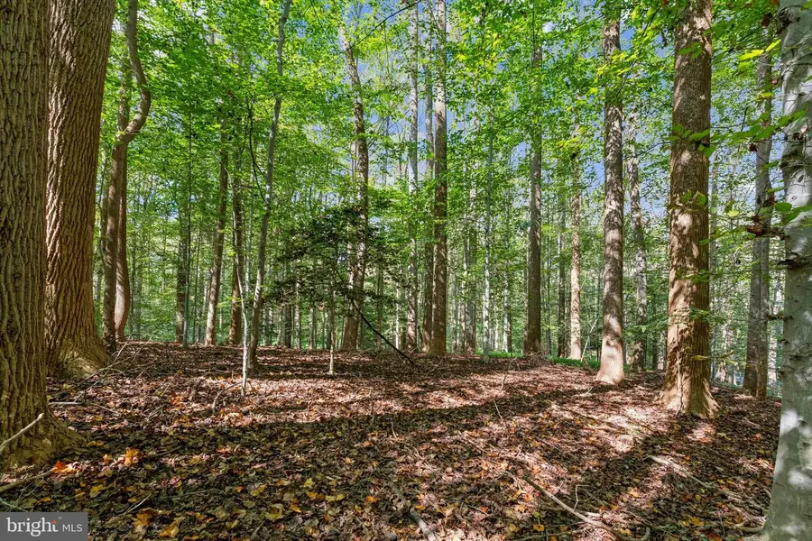 258 Jeffery Ln, Great Falls, VA 22066 - Image #2