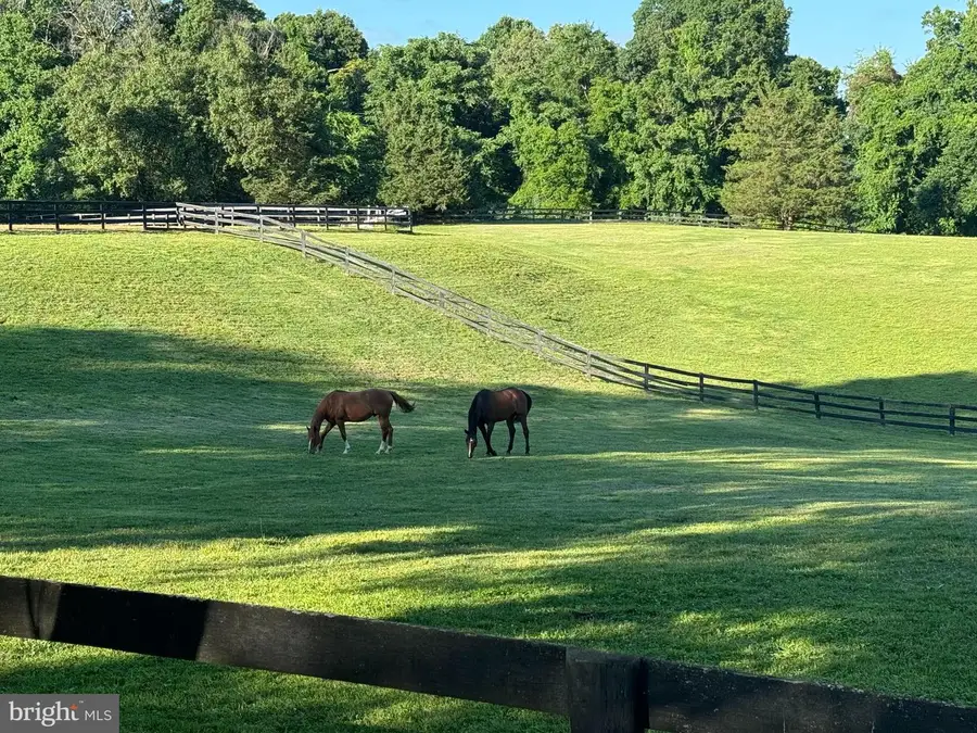 9341 Cornwell Farm Dr, Great Falls, VA 22066 - Image #3