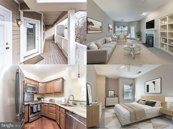 14314 Climbing Rose Way #301, CENTREVILLE, VA 20121