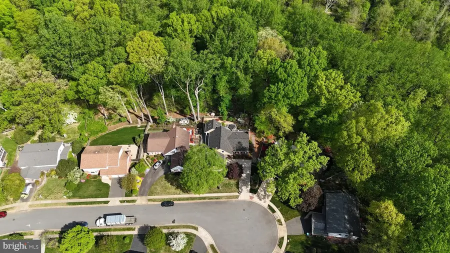 6104 Harmon Pl, Springfield, VA 22152 - #3