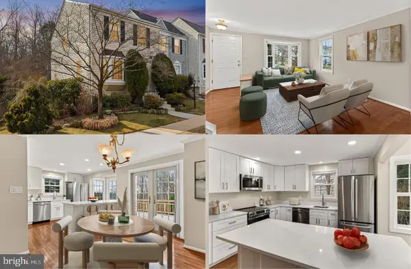 13855 Laura Ratcliff Ct, CENTREVILLE, VA 20121