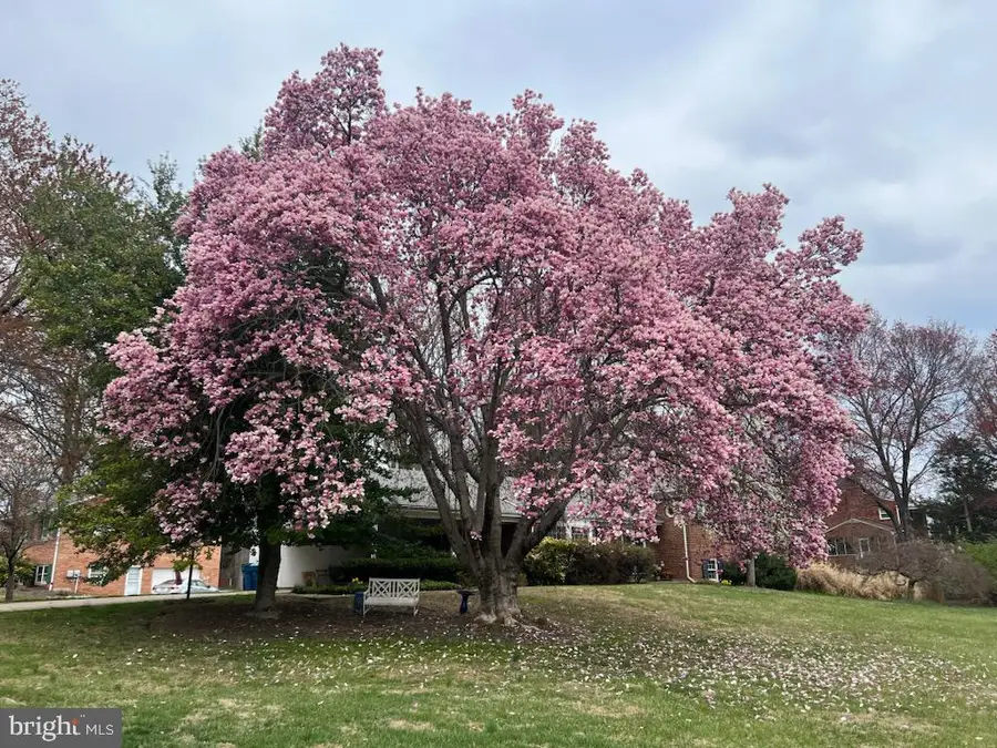 2849 Hideaway Rd, Fairfax, VA 22031 - Image #2