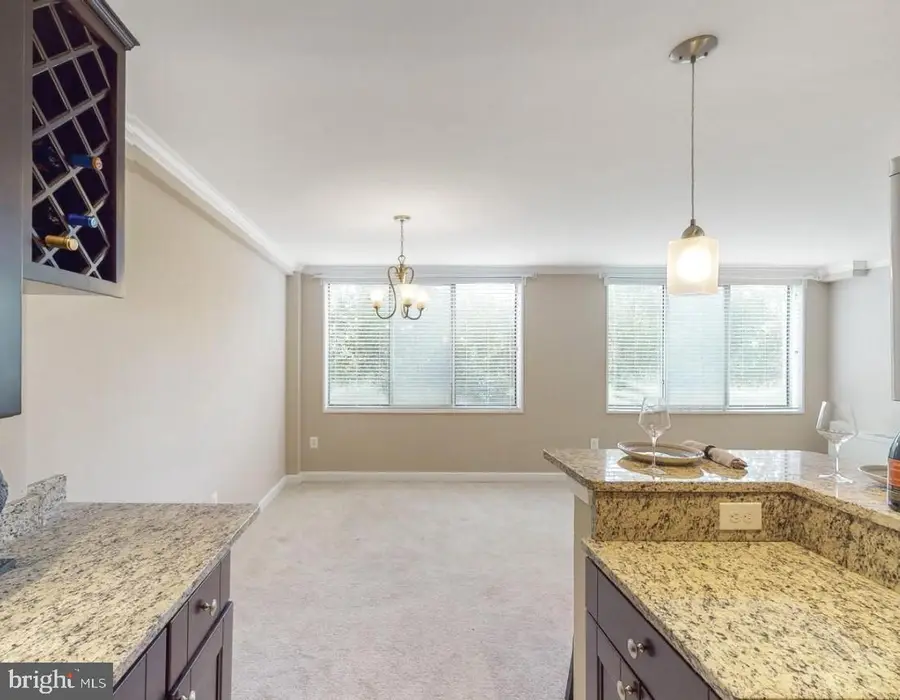 6641 Wakefield Dr #219, Alexandria, VA 22307 - #3