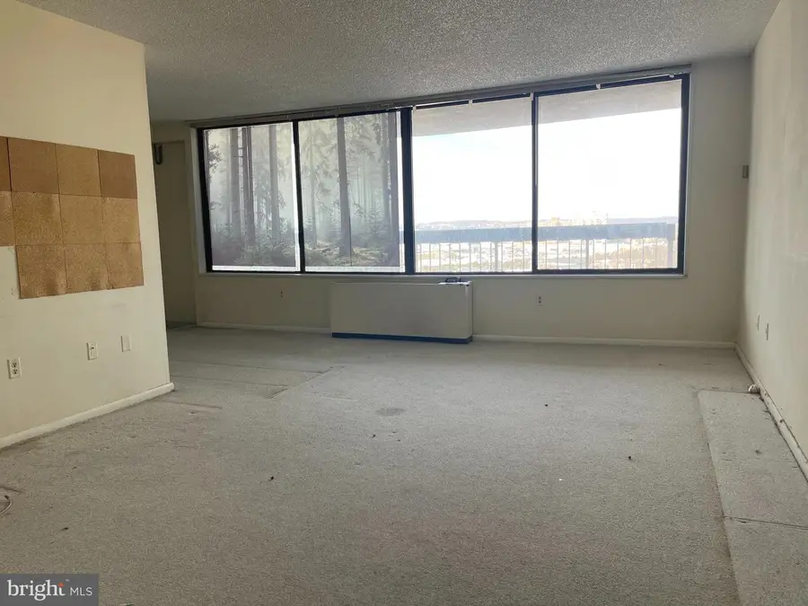 3701 S George Mason Dr #1408n, Falls Church, VA 22041 - #2