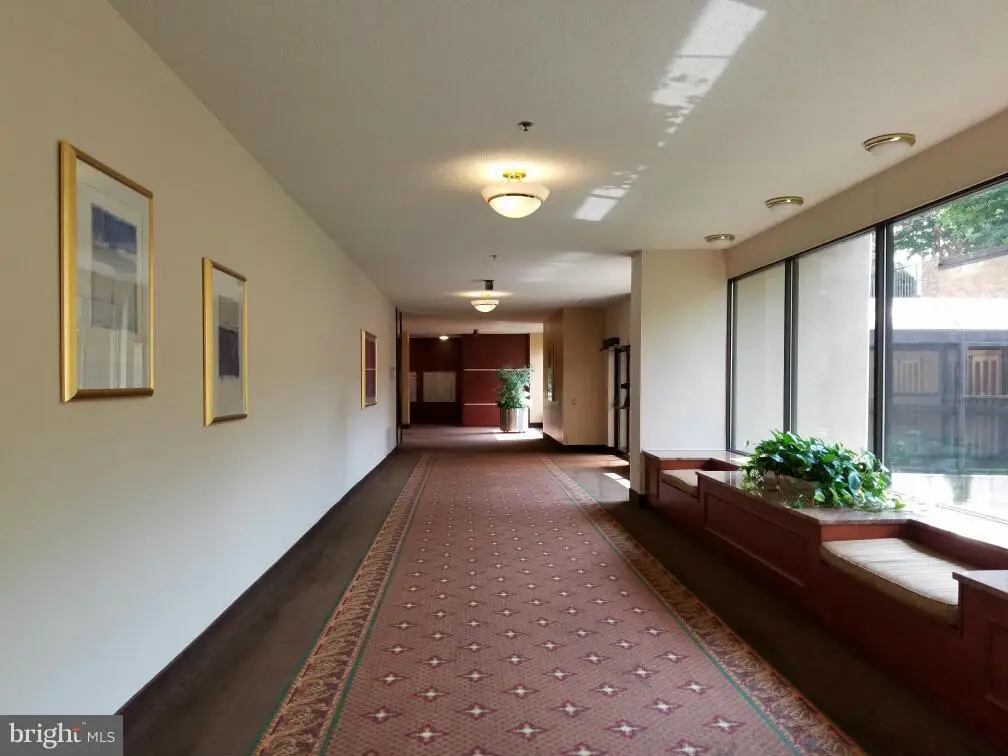 3709 George Mason Dr S #710 East, Falls Church, VA 22041 - #1