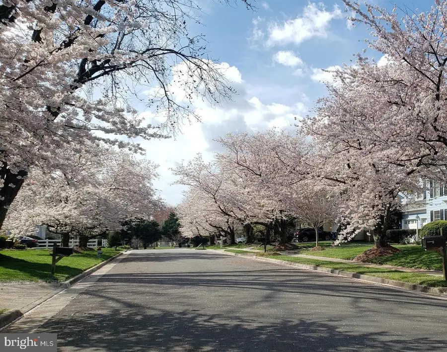 1502 Chain Bridge Ct, McLean, VA 22101 - #2