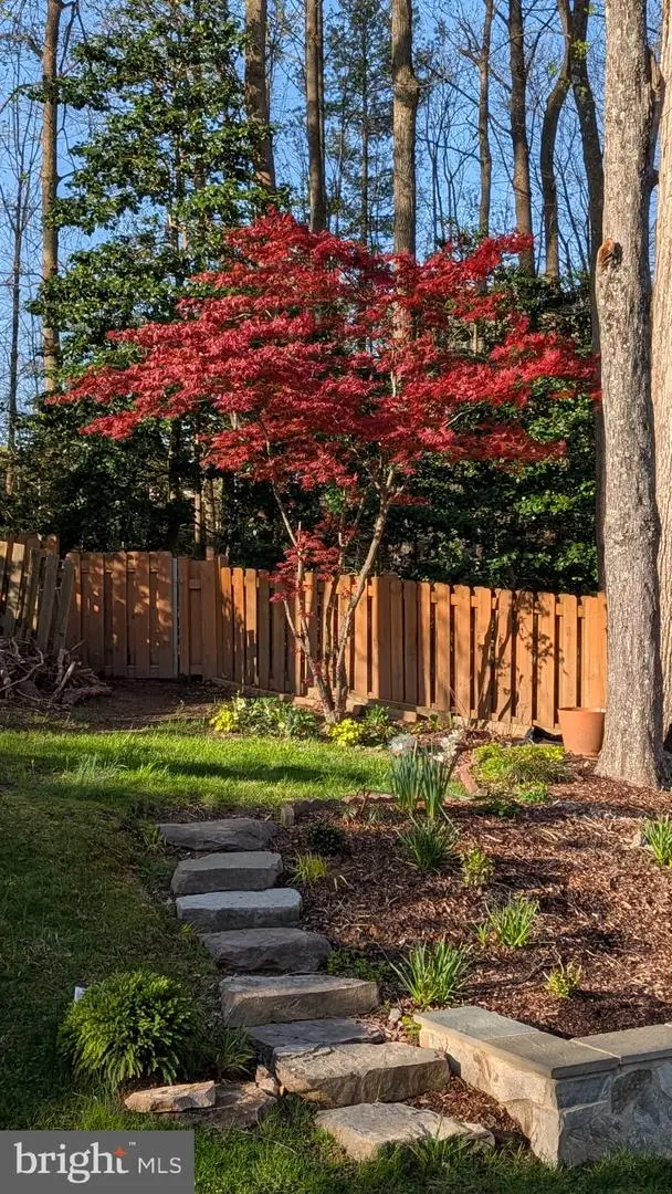 7300 Reservation Dr, Springfield, VA 22153 - #3