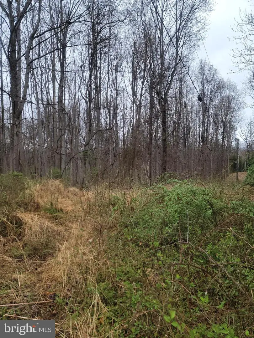 Winfield Dr, Fairfax, VA 22030 - #3