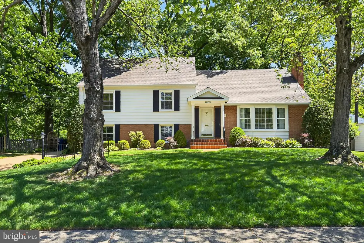 8603 Cushman Pl, Alexandria, VA 22308 - #1