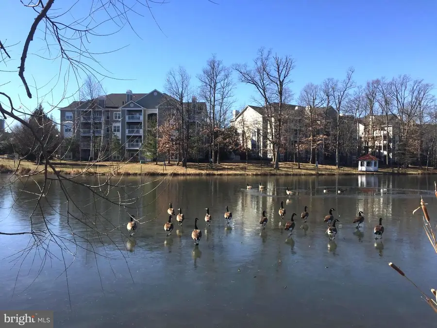 1705 Lake Shore Crest Dr #23, Reston, VA 20190 - #3