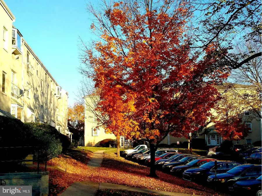 2905 Willston Pl, Falls Church, VA 22044 - #3