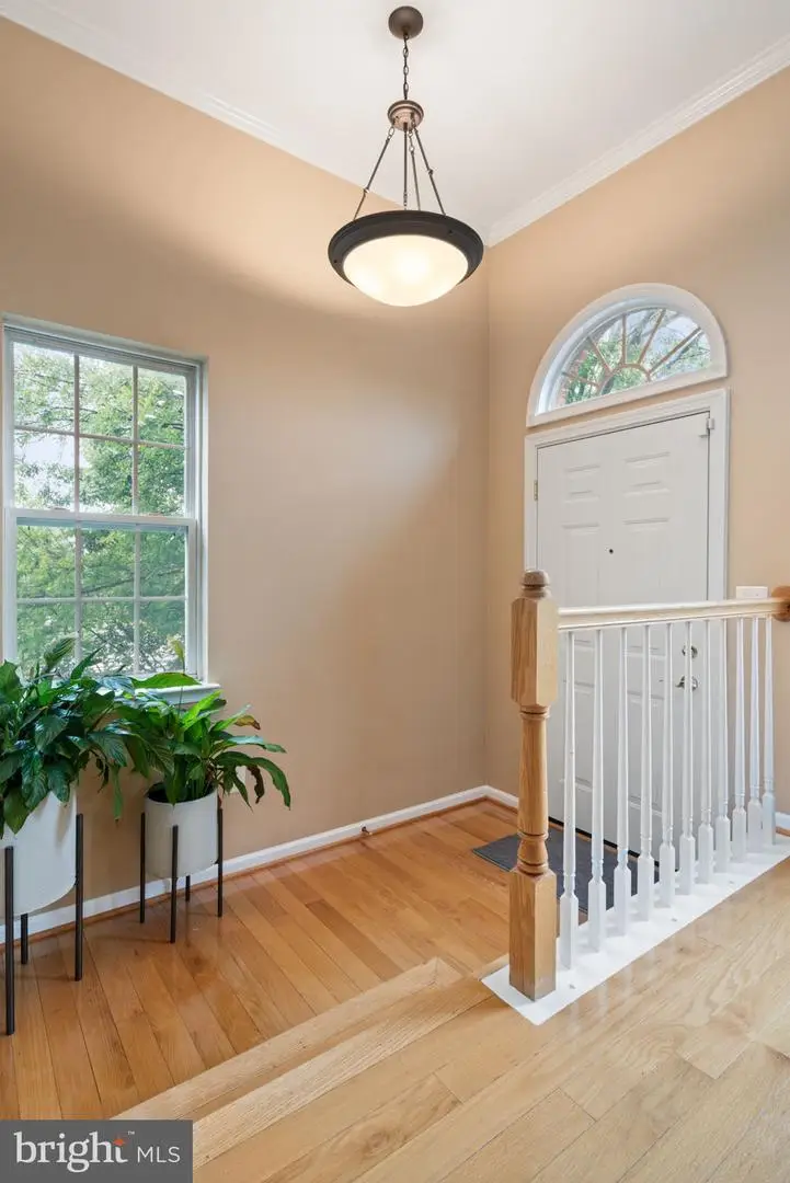 6737 Applemint Ln, Alexandria, VA 22310 - #2