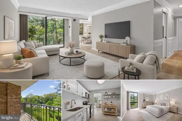 2300 Pimmit Dr #418, FALLS CHURCH, VA 22043