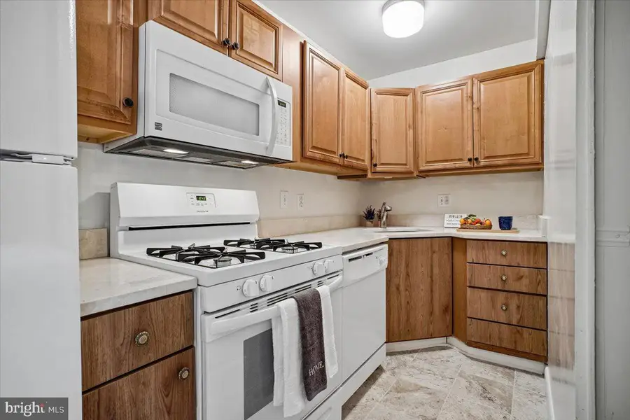 204 Park Terrace Ct Se #25, Vienna, VA 22180 - #2