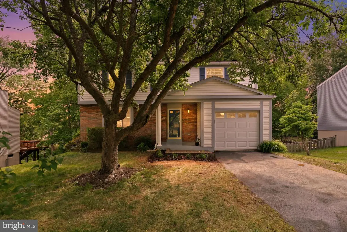 15247 Louis Mill Dr, Chantilly, VA 20151 - #1