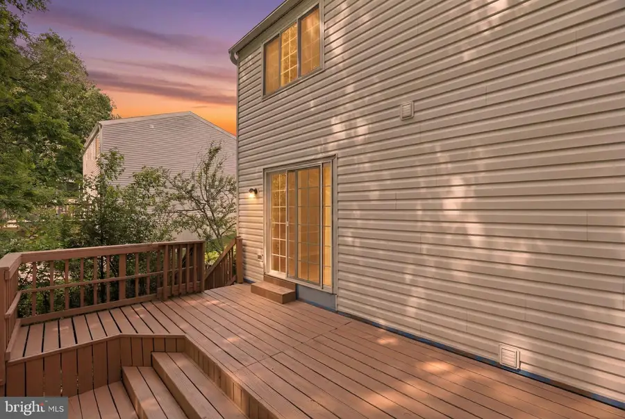 15247 Louis Mill Dr, Chantilly, VA 20151 - #2