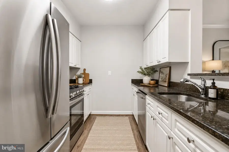 2204 Westcourt Ln #317, Herndon, VA 20170 - #3