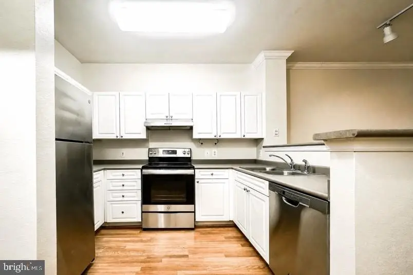 3021 Nicosh Cir #1103, Falls Church, VA 22042 - #2