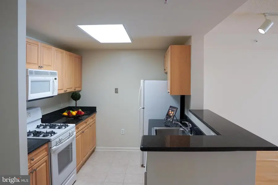2726 Gallows Rd #417, Vienna, VA 22180 - #3