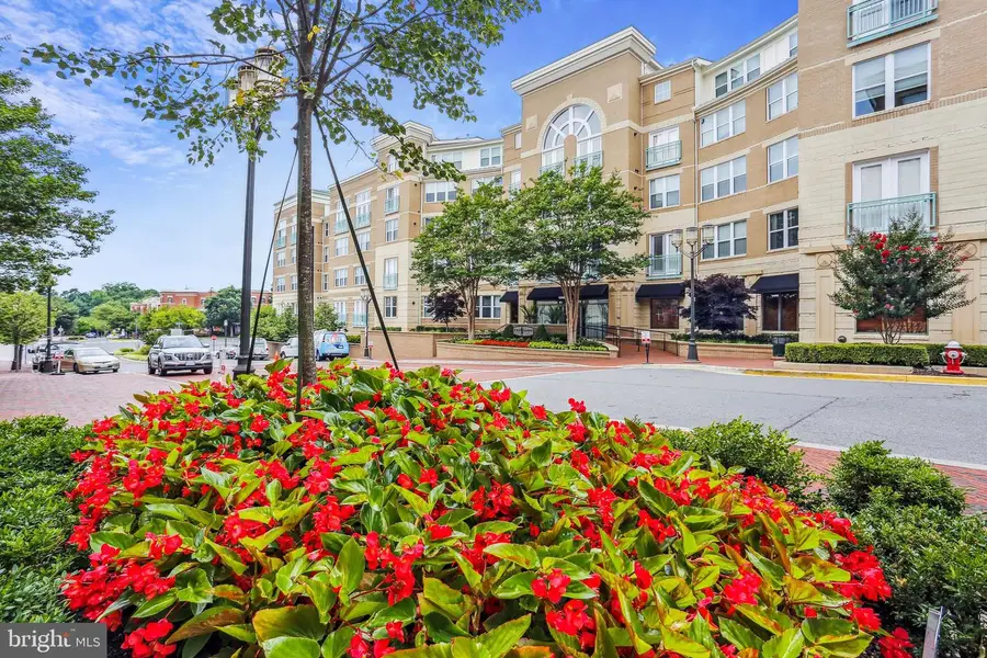 12000 Market St #382, Reston, VA 20190 - #3