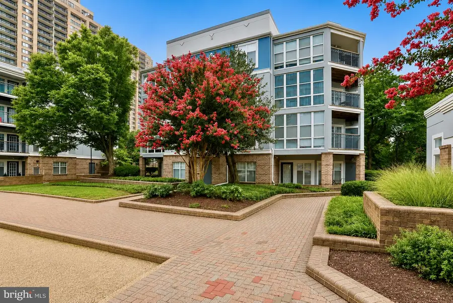 5565 Seminary Rd #314, Falls Church, VA 22041 - #2