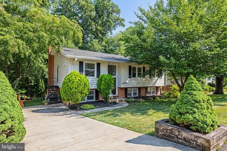4703 Tara Dr, Fairfax, VA 22032 - #2