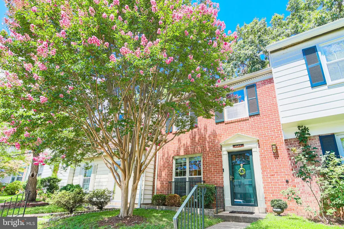 6566 Yadkin Ct, Alexandria, VA 22310 - #1