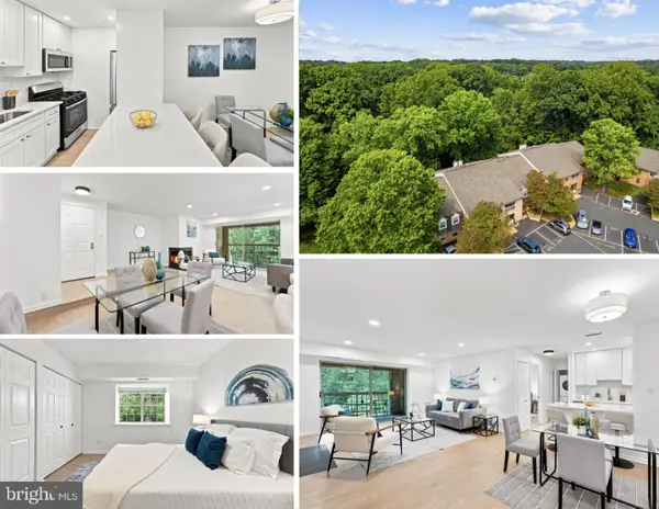 5912 Cove Landing Rd #303, BURKE, VA 22015