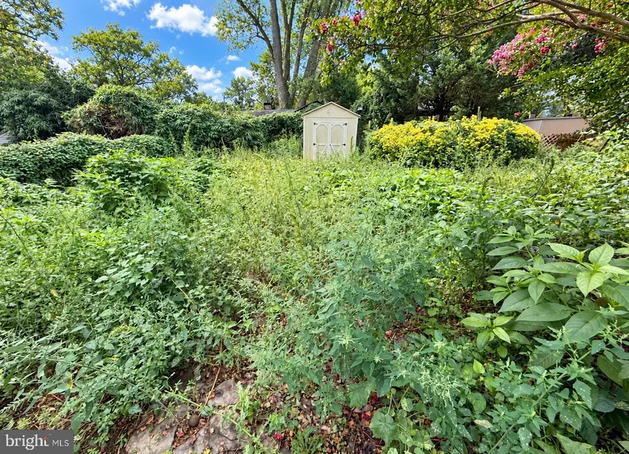 6637 Fisher Ave, Falls Church, VA 22046 - #2
