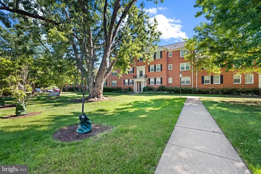 6515 Potomac Ave #b1, Alexandria, VA 22307 - #3