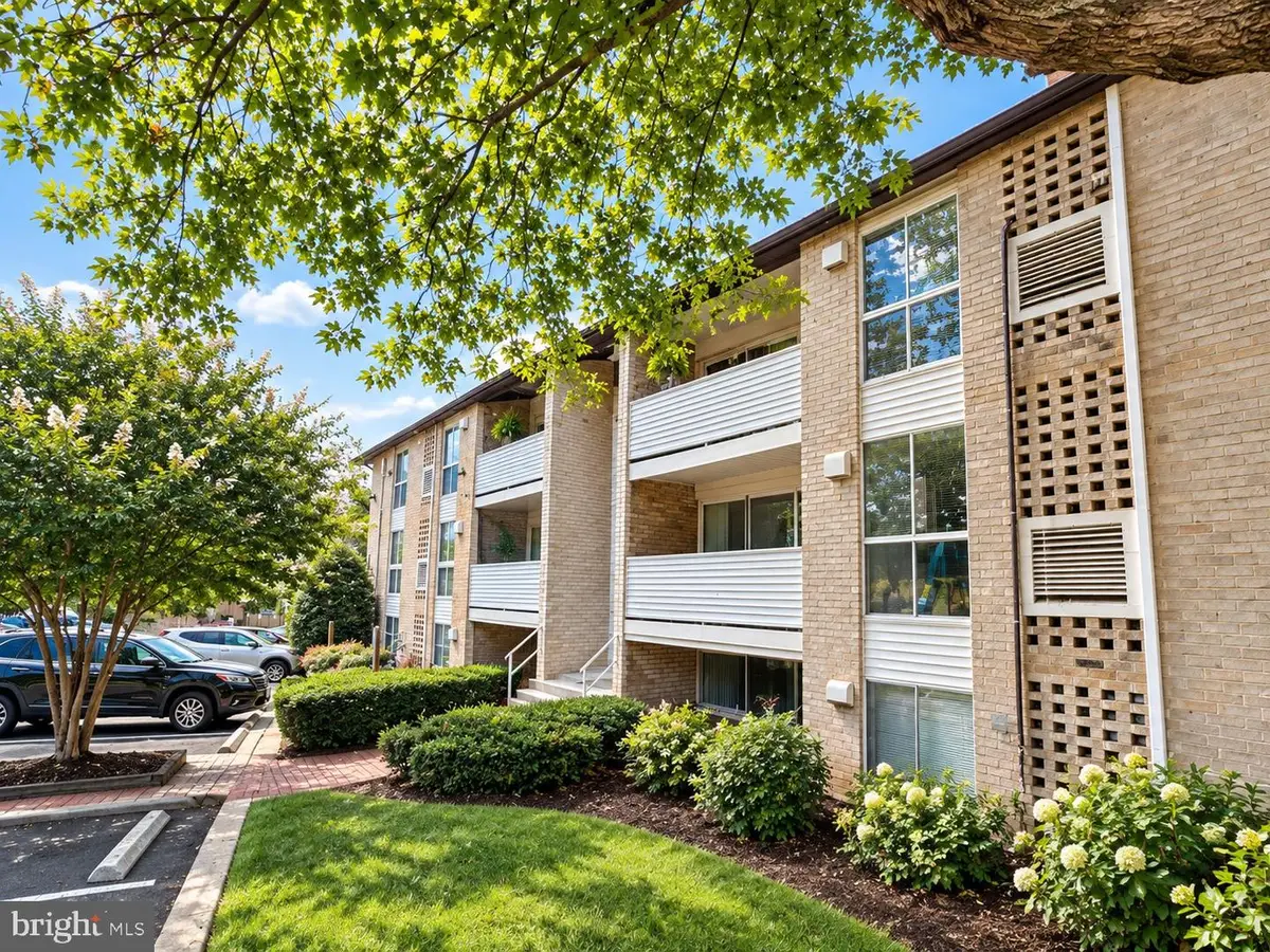 5612 Bloomfield Dr #t2, Alexandria, VA 22312 - #1