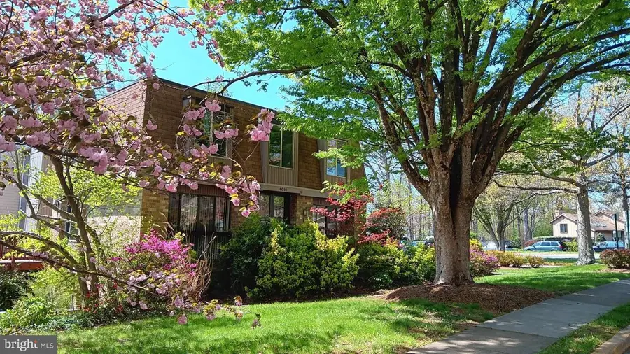 6010 Timber Hollow Ln, Springfield, VA 22152 - #2