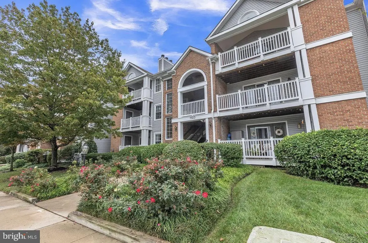 7503 Ashby Ln #h, Alexandria, VA 22315 - #1