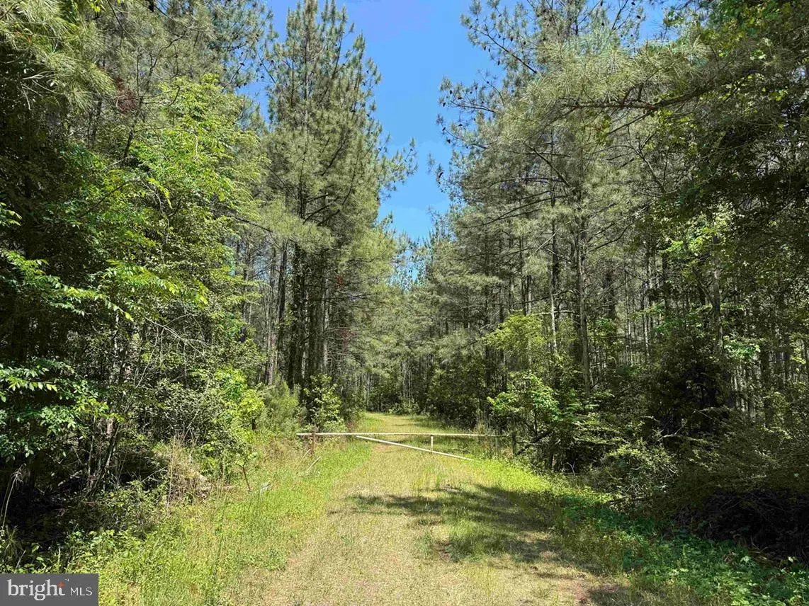 Brantley Moore Turnpike (tract Azalea Comp 17), Emporia, VA 23847 - #1