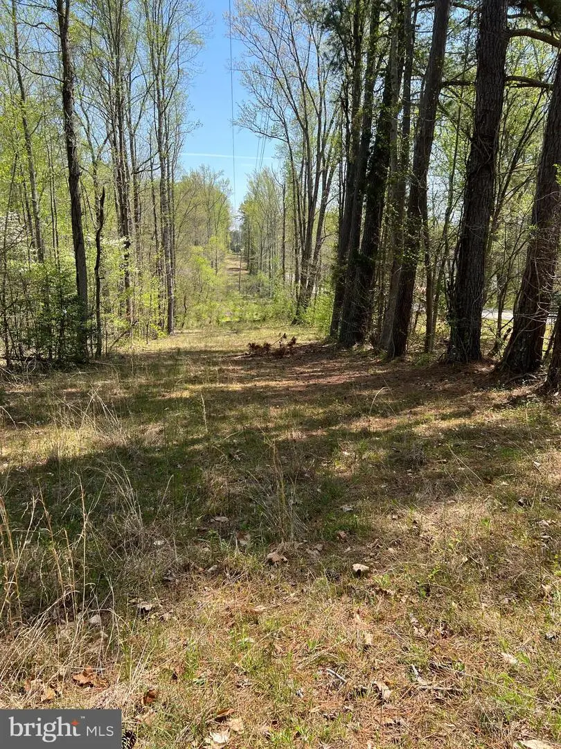 Lot 4, Lo5 & Lot 6 Lively & Broad St Ln, Gum Spring, VA 23065 - Image #2