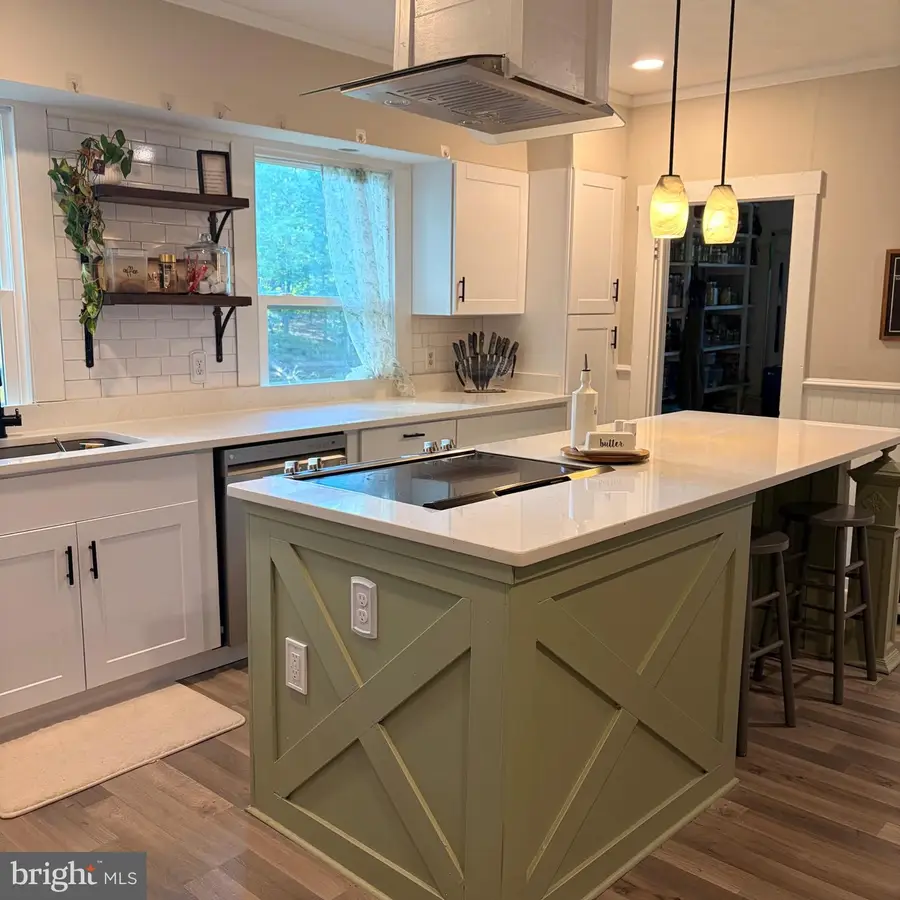2510 Broad St Rd, Goochland, VA 23063 - #3