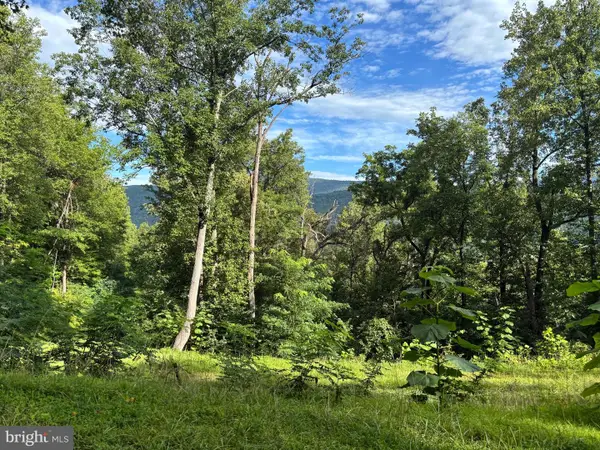 118 Lexington Ct, STANARDSVILLE, VA 22973