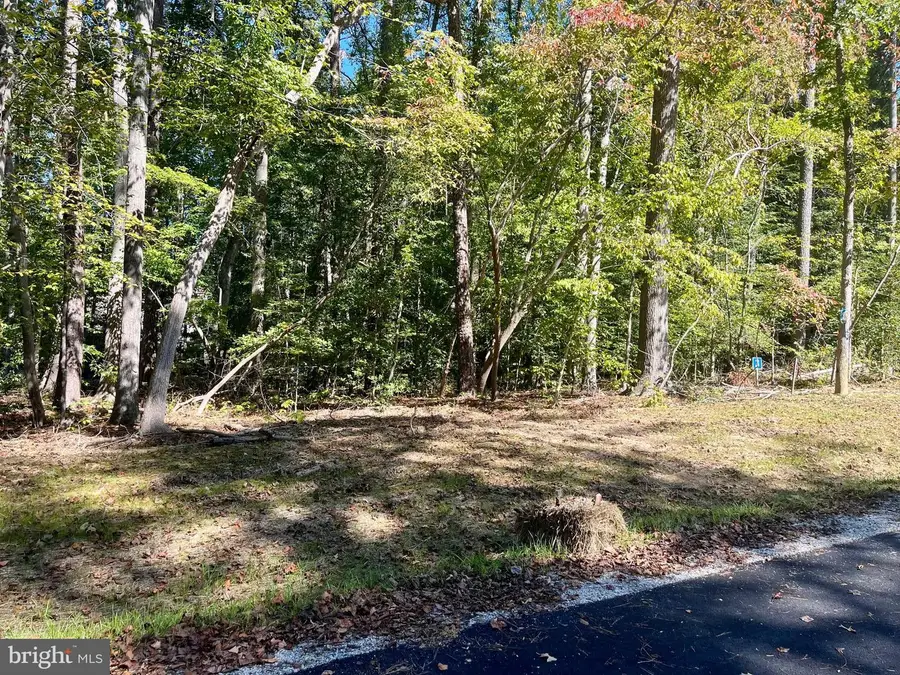 5353 Ridgewood Hills Dr, Williamsburg, VA 23188 - Image #2