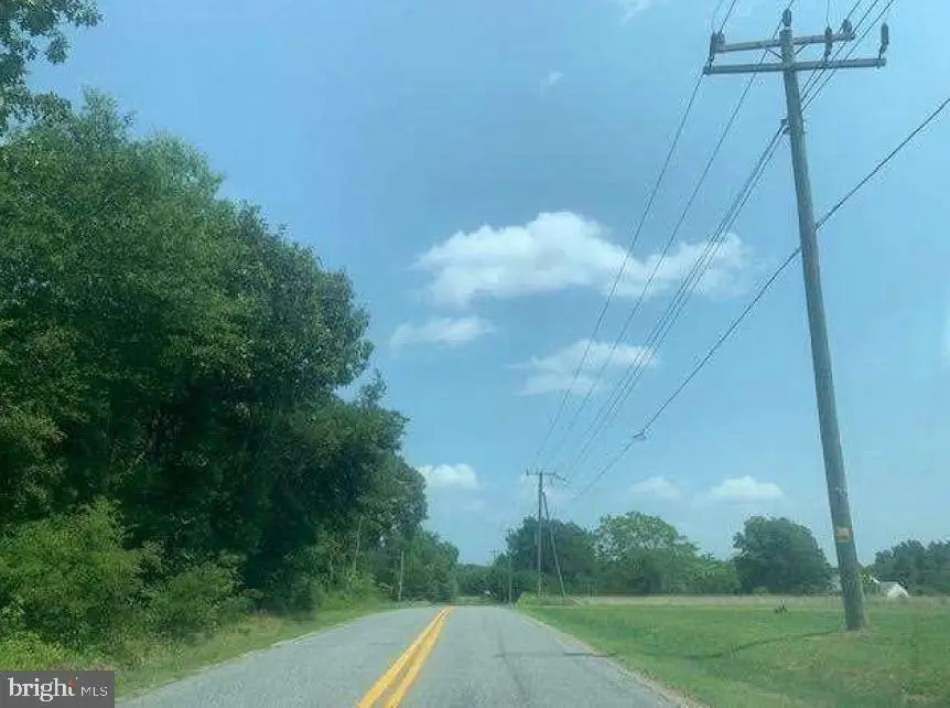 13363 Shiloh Loop, King George, VA 22485 - Image #2