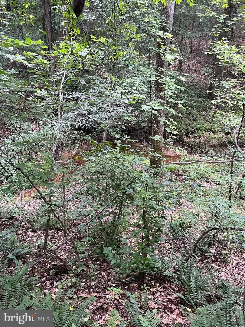 Lot 27 Salem Church Rd, King George, VA 22485 - Image #1