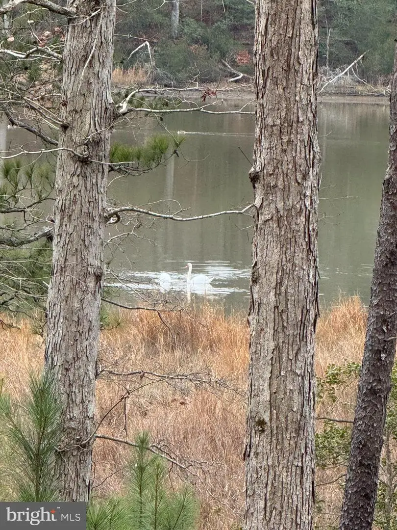 2 Seagrass Ct, King George, VA 22485 - Image #2