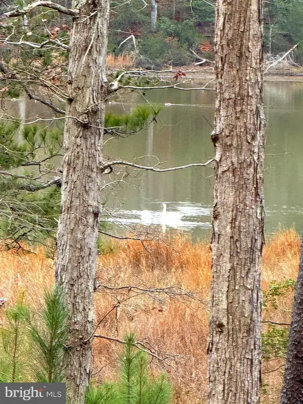 3 Seagrass Ct, KING GEORGE, VA 22485