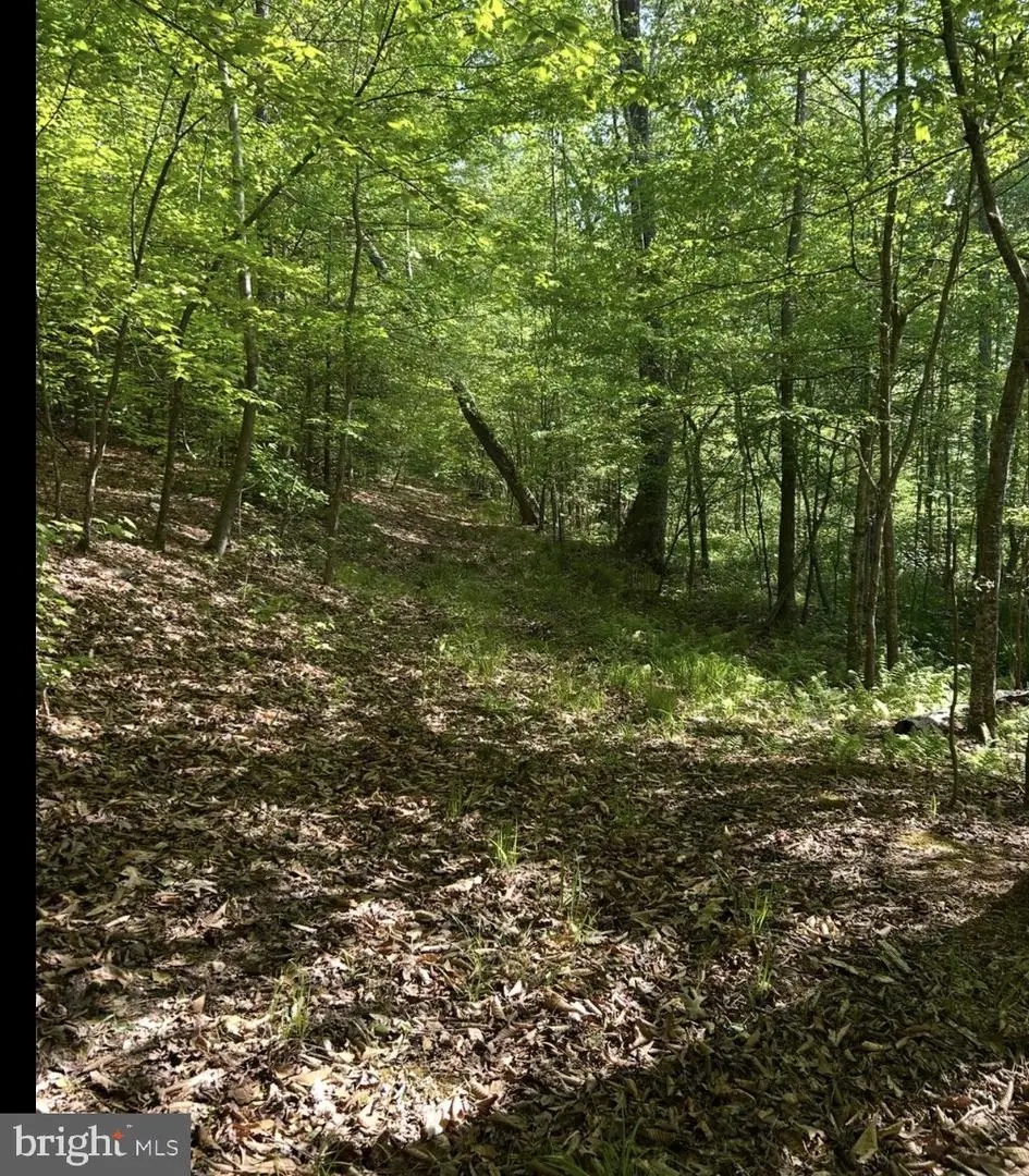 Lot 3 Tm: 35-3-3 Longfield Rd., King George, VA 22485 - #1