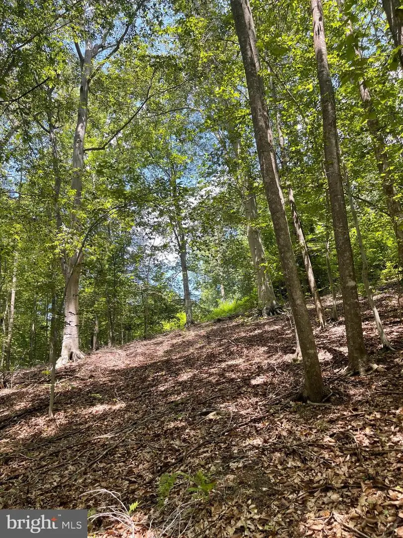 Lot 28 Compass Court, King George, VA 22485 - #1
