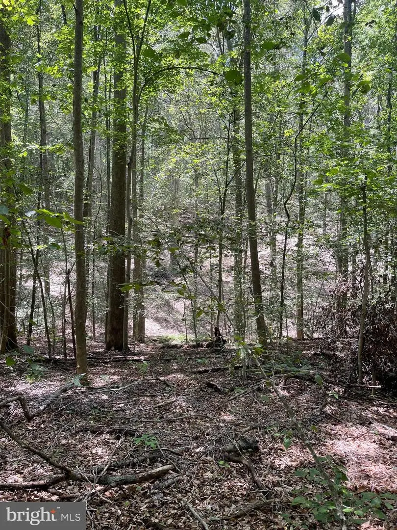 Lot 28 Compass Court, King George, VA 22485 - #3